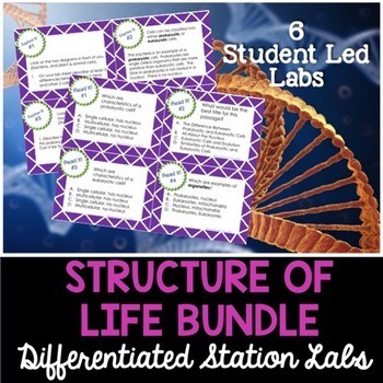 Preview of Structure of Life Student-Led Station Labs Bundle Grades 6, 7, 8