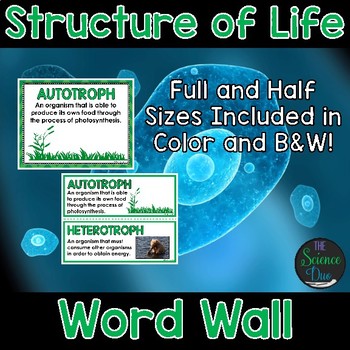 Preview of Structure of Life Word Wall