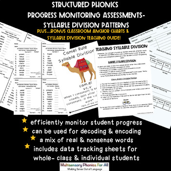 Preview of Structured Phonics Progress Monitoring-Syllable Division+Anchor Charts & MORE!