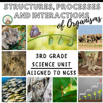 Preview of 3rd Grade Science: Structures, Processes, and Interactions of Organisms