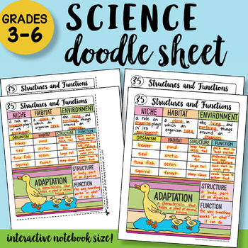 Preview of Structures and Functions - Doodle Sheet - So Easy to use! PPT Included