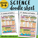 Structures and Functions - Doodle Sheet - So Easy to use! 
