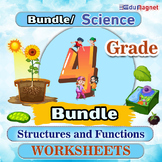 Structures and Functions: Science: Grade 4: Worksheets: Bundle