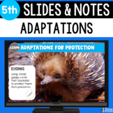 Adaptations Google Slides & Notes Worksheet | 5th Grade | 