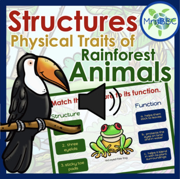 Preview of Structures and Functions of Rainforest Animals- Adaptations (AUDIO) Boom Cards™