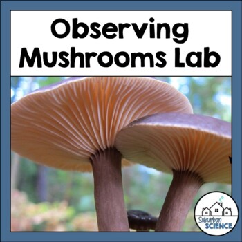 Preview of Structures in Kingdom Fungi: Observing Mushrooms Lab Activity