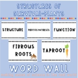 Structures of Survival - Plants Word Wall and Science Poster