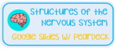 Structures of the Nervous System Google Slides with PearDeck
