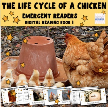 Preview of Struggling Readers- Google Slides™ ebook - Book 19 - The Life Cycle Of A Chicken