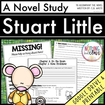 Preview of Stuart Little Novel Study Unit | Comprehension Questions with Activities & Tests