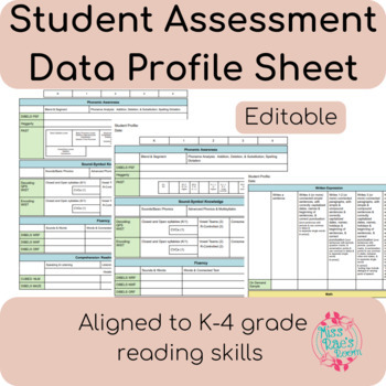 Preview of Student Assessment Data Reading Profile Sheet IEP Goals