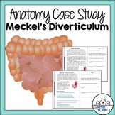 Student Case Study for the Human Digestive System