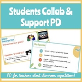 Student Collaboration and Support | Professional Developme