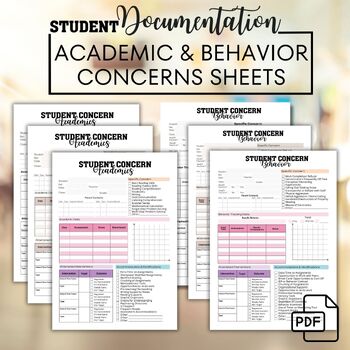 Preview of Student Concerns Documentation Sheets for IEP, RTI, Tier 1, Tier 2 Interventions