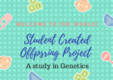 Student Created Offspring Project Genetics