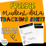 Student Data Tracking Sheet and Behavior Log FREEBIE