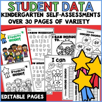 Preview of Student Data Tracking Sheets Binder Kindergarten