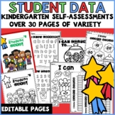 Student Data Tracking Sheets Binder Kindergarten