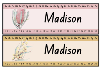 Preview of Student Desk Labels [Editable] | Australian Natives | NSW Foundation Font