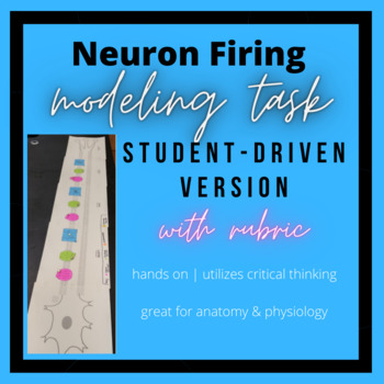 Preview of Student-Driven Neuron Firing Modeling: Hands-On Activity