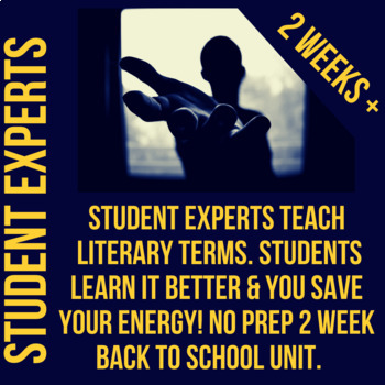 Preview of Student Experts Teach the Teacher Literary Terms- Includes Story Quiz & Test