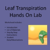 Lab Worksheet - Leaf Transpiration Lab