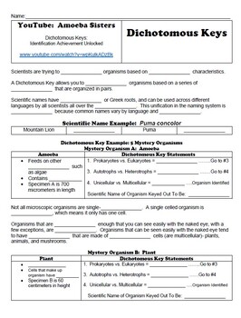 Preview of Student Handout for Amoeba Sisters:  Dichotomous Keys YouTube Video