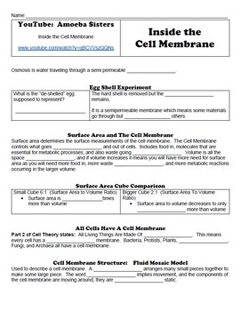 Preview of Student Handout for Amoeba Sisters:  Inside the Cell Membrane