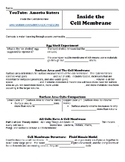 Student Handout for Amoeba Sisters:  Inside the Cell Membrane