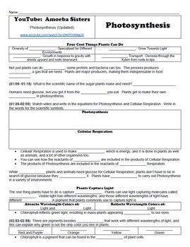 Preview of Student Handout for Amoeba Sisters YouTube Video:  Photosynthesis (Updated)