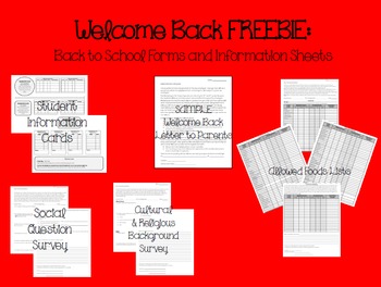 Preview of Back to School Forms & Information Sheets (FREEBIE)