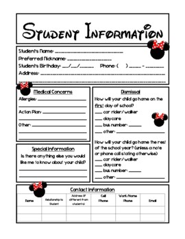 Preview of Student Information Sheet - Disney Theme