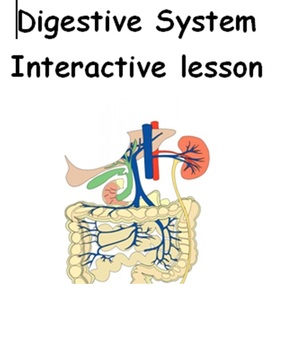 Preview of Student Interactive Digestion Lesson