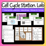 Student Led Cell Cycle Station Lab | Cell Cycle, Mitosis & Cancer