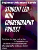 Student Led Mini Choreography Project