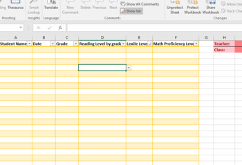 Preview of Student Levels Spreadsheet