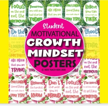 Preview of Student Motivational Growth & Mindset Posters
