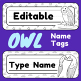 Student Name Tags for Desks - Owl Theme - Kids color them!