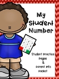Student Number Practice Pages