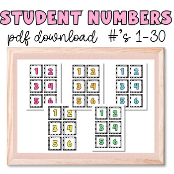 Preview of Student Numbers, Classroom Organization, Number Labels