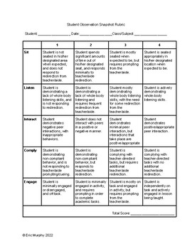 Preview of Student Observation Snapshot Rubric