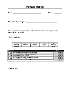 Preview of Student Partners Evaluation Rubric