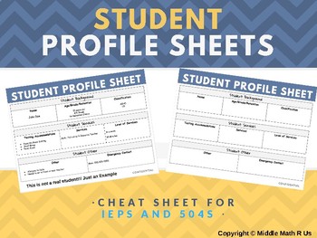 Preview of Student Profile Sheets (Easy Sheet for IEPs and 504s)