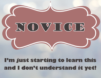 Preview of Student Reflection Box Label (Novice)