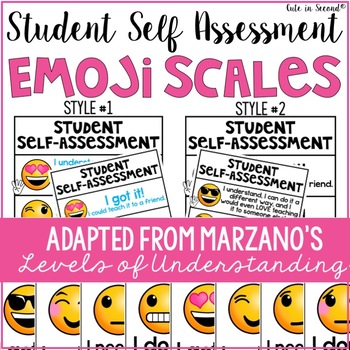 Preview of Student Self Assessment Emoji Levels of Understanding