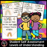 Student Self-Assessment Levels of Understanding Posters