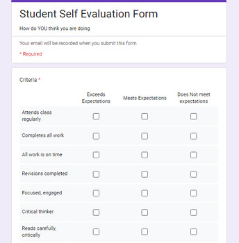 Preview of Student Self Evaluation Form