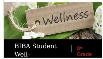 Preview of Student Well Being Presentation for Middle and High School students