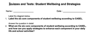 Preview of Student Wellbeing "Why is student wellbeing important?"  Assessment