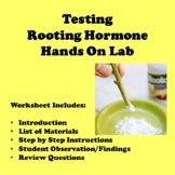 Testing Rooting Hormone Lab Worksheet